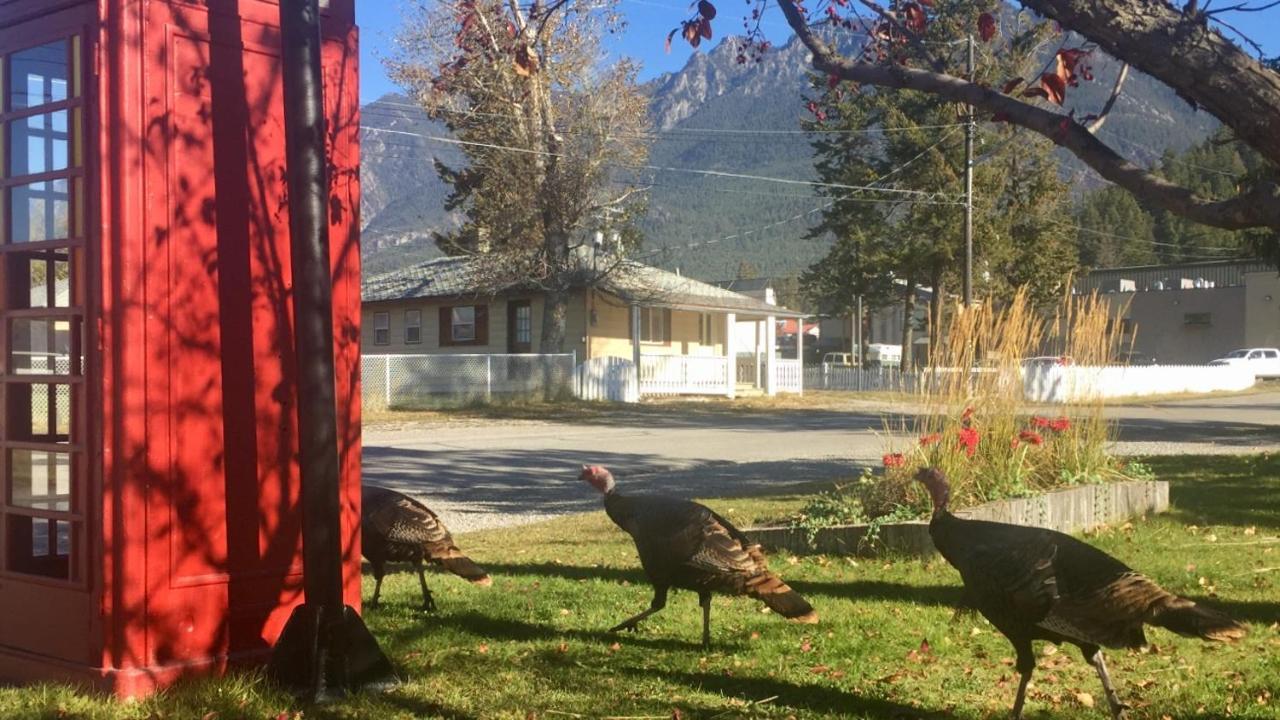 Piccadilly Motel Radium Hot Springs Εξωτερικό φωτογραφία