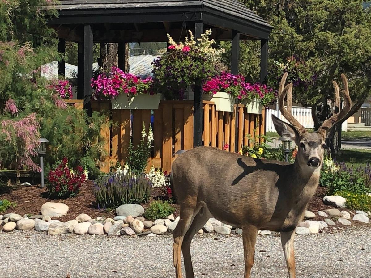 Piccadilly Motel Radium Hot Springs Εξωτερικό φωτογραφία