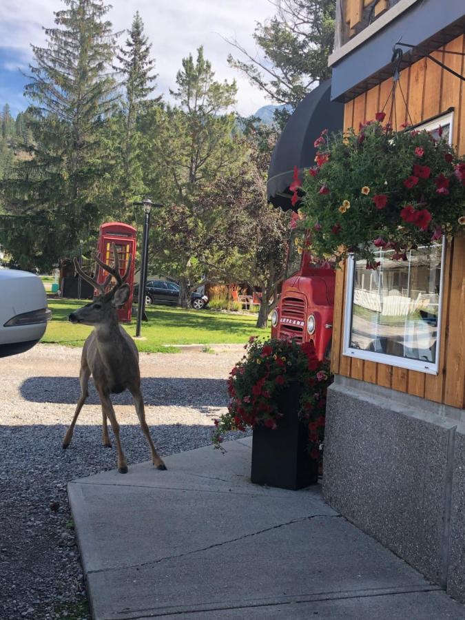 Piccadilly Motel Radium Hot Springs Εξωτερικό φωτογραφία